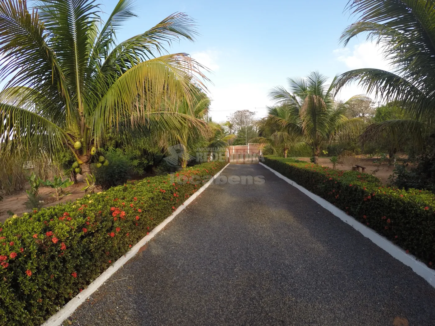 Comprar Rural / Chácara em São José do Rio Preto R$ 1.000.000,00 - Foto 11