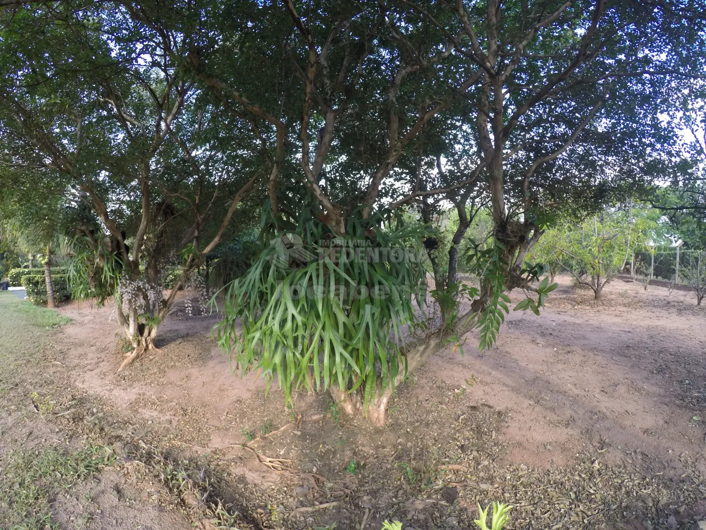 Comprar Rural / Chácara em São José do Rio Preto R$ 1.000.000,00 - Foto 16