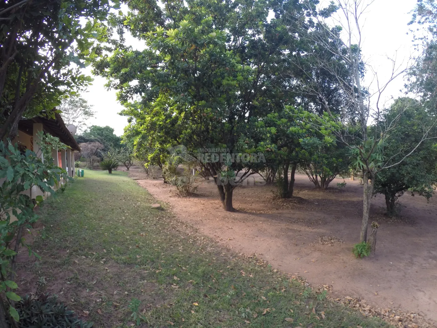 Comprar Rural / Chácara em São José do Rio Preto R$ 1.000.000,00 - Foto 17