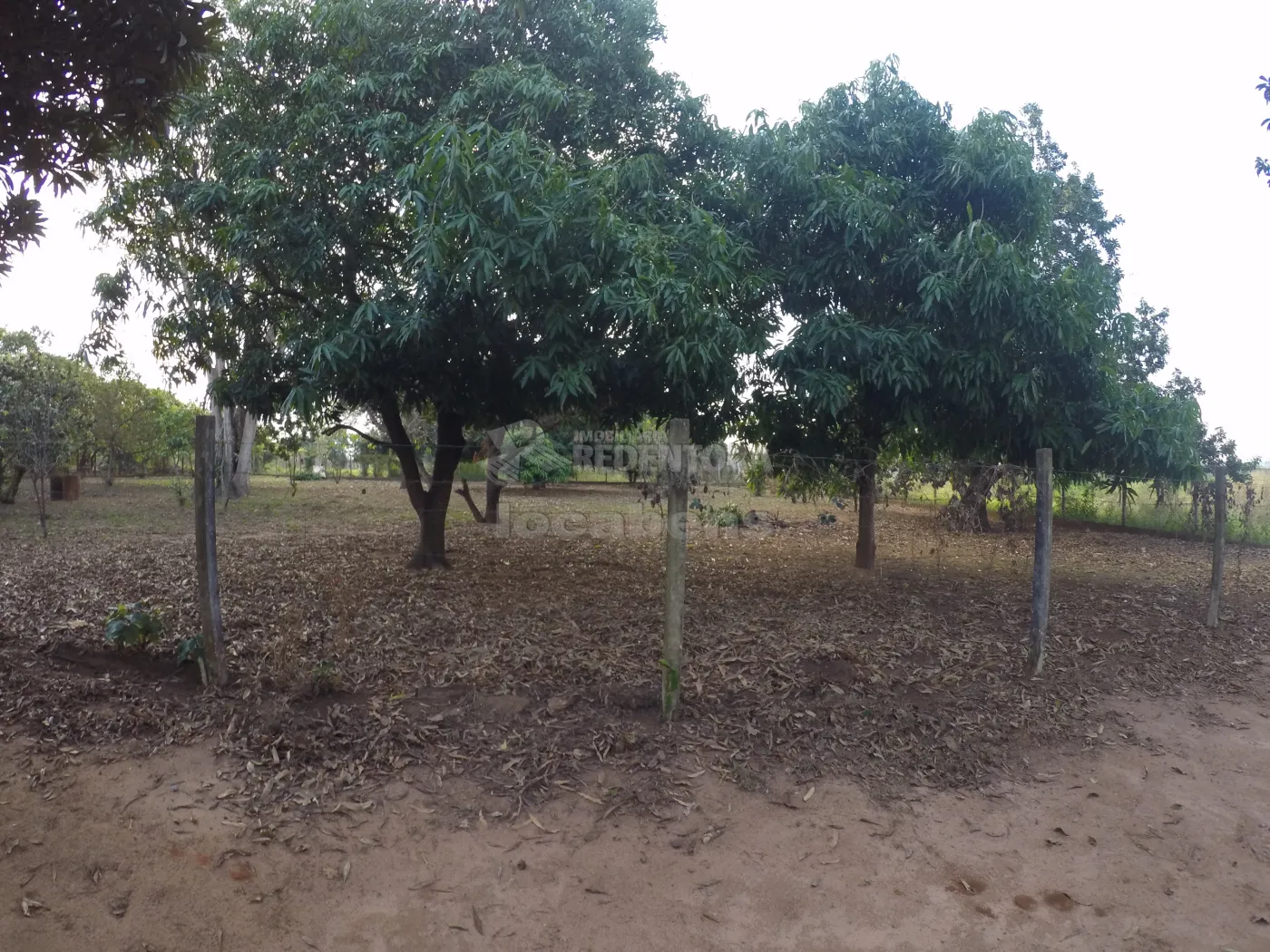 Comprar Rural / Chácara em São José do Rio Preto R$ 1.000.000,00 - Foto 19