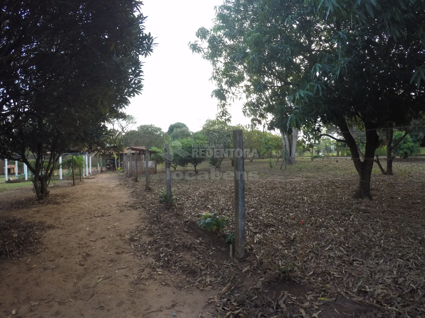 Comprar Rural / Chácara em São José do Rio Preto R$ 1.000.000,00 - Foto 20