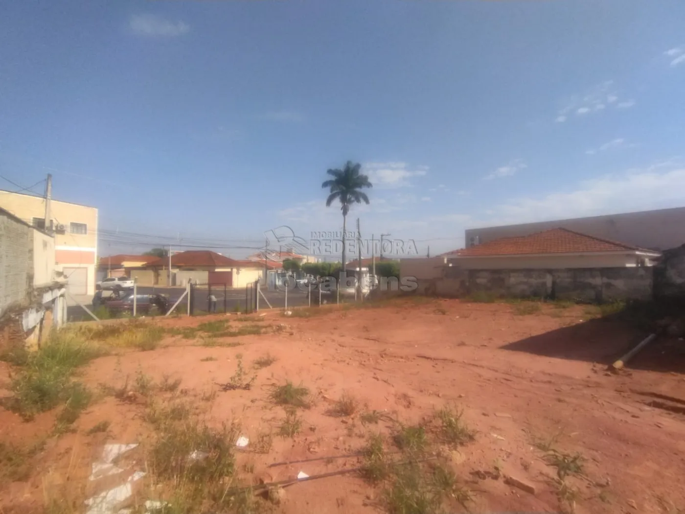 Alugar Terreno / Padrão em São José do Rio Preto R$ 4.000,00 - Foto 3