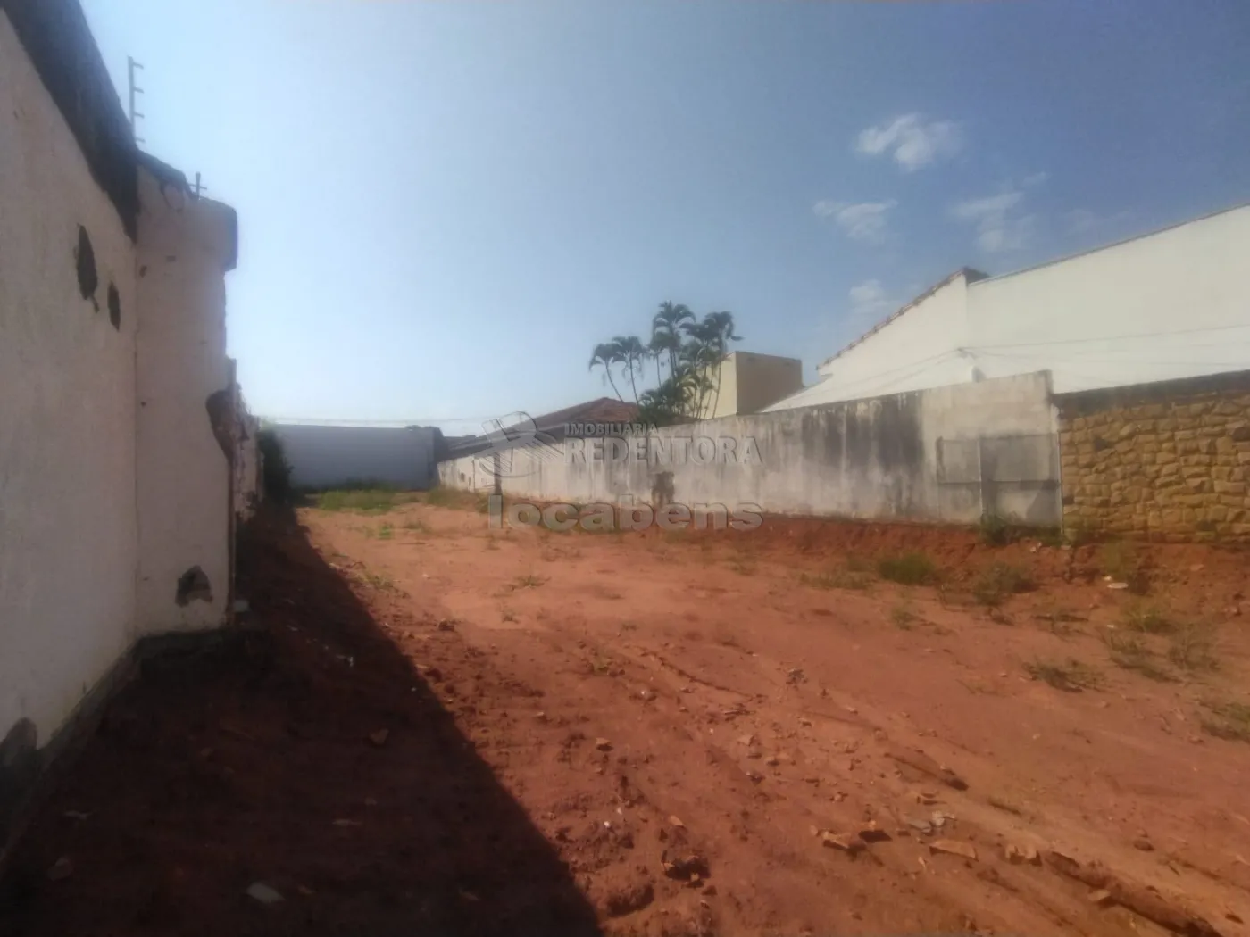 Alugar Terreno / Padrão em São José do Rio Preto R$ 4.000,00 - Foto 8