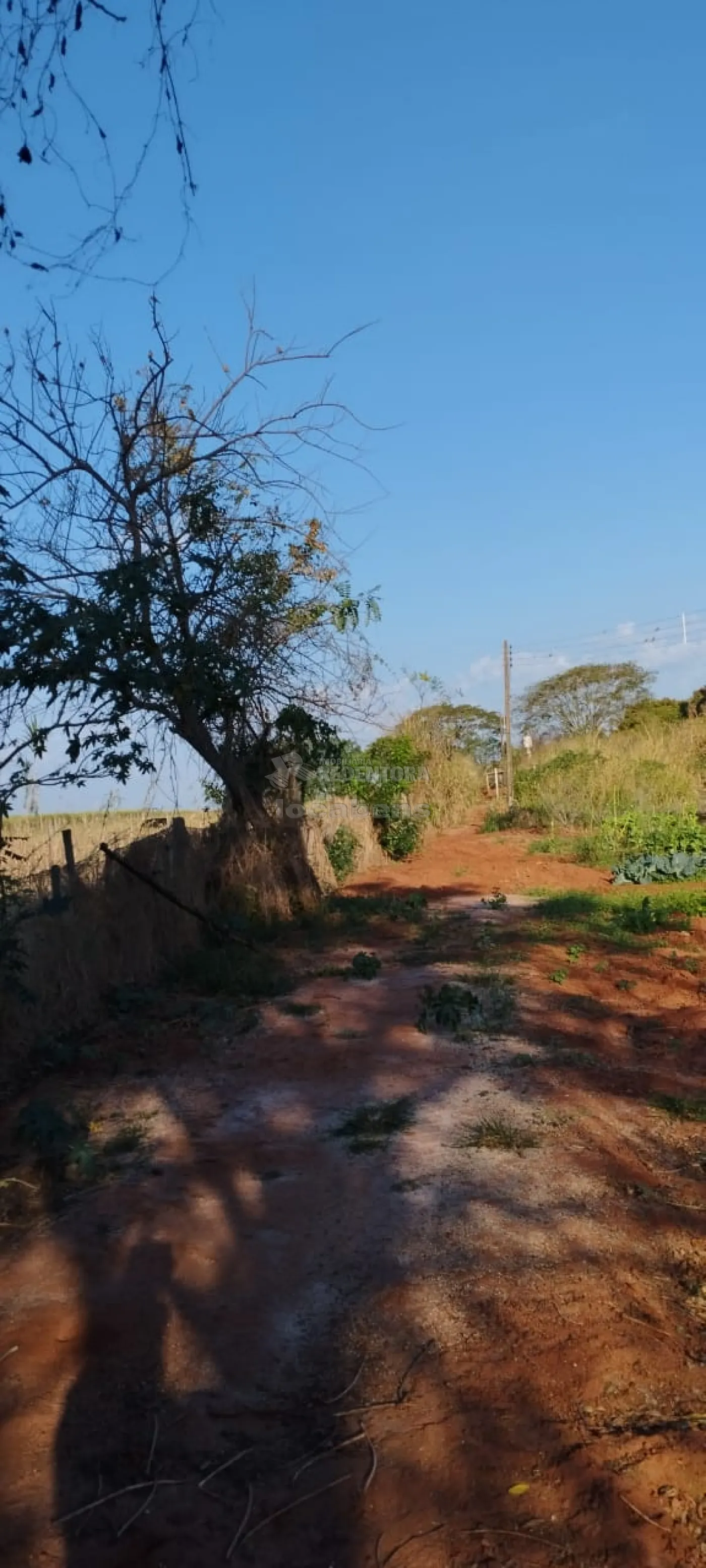 Comprar Rural / Sítio em Bady Bassitt R$ 800.000,00 - Foto 14