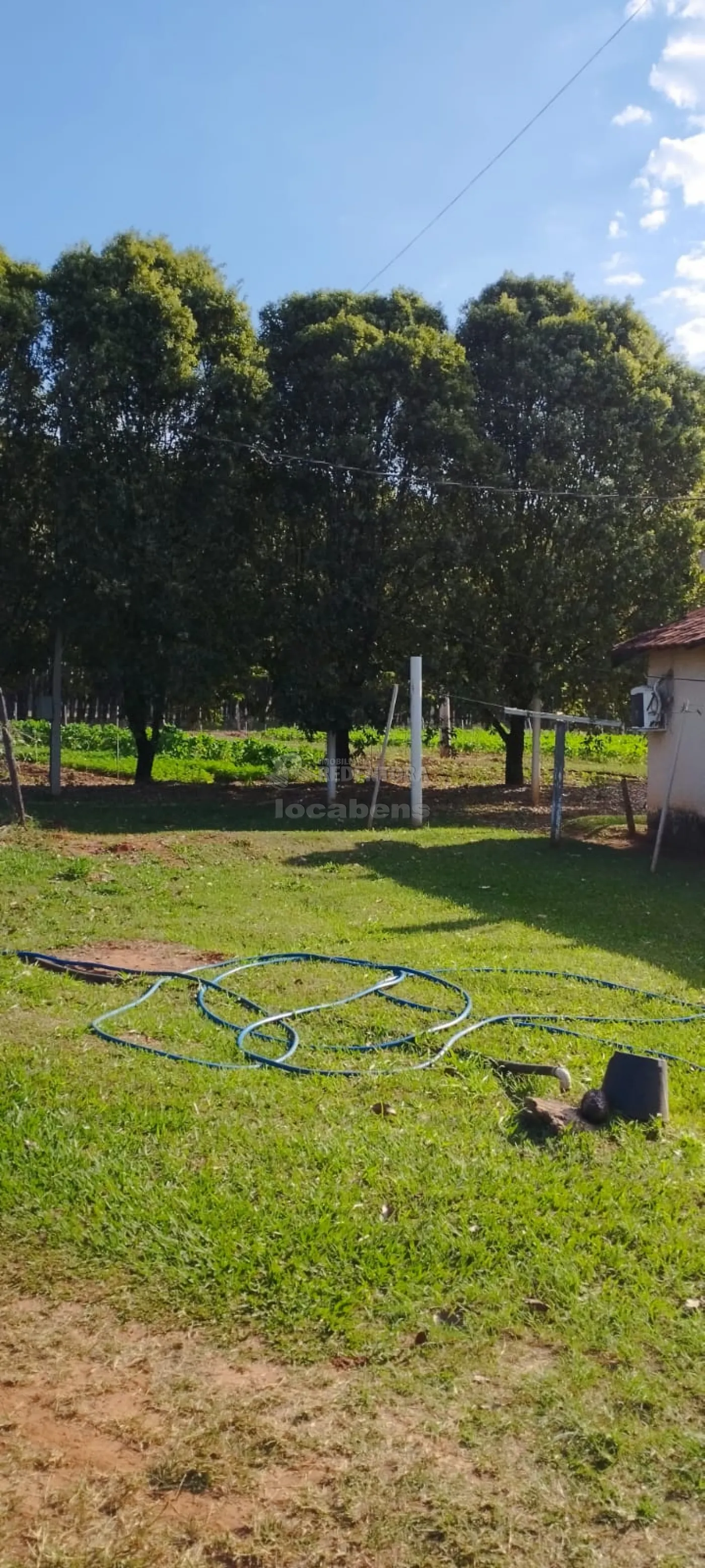 Comprar Rural / Sítio em Bady Bassitt R$ 800.000,00 - Foto 21