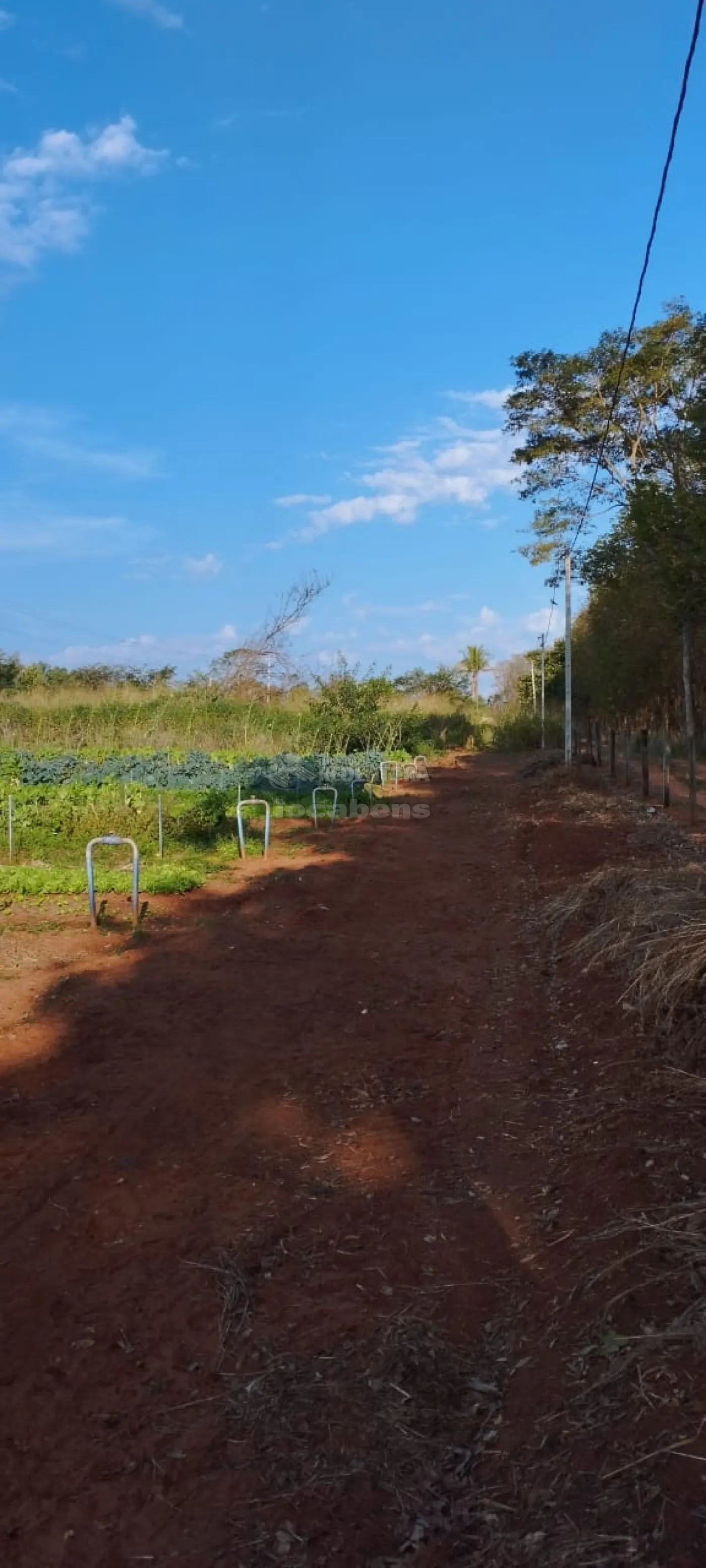 Comprar Rural / Sítio em Bady Bassitt R$ 800.000,00 - Foto 23