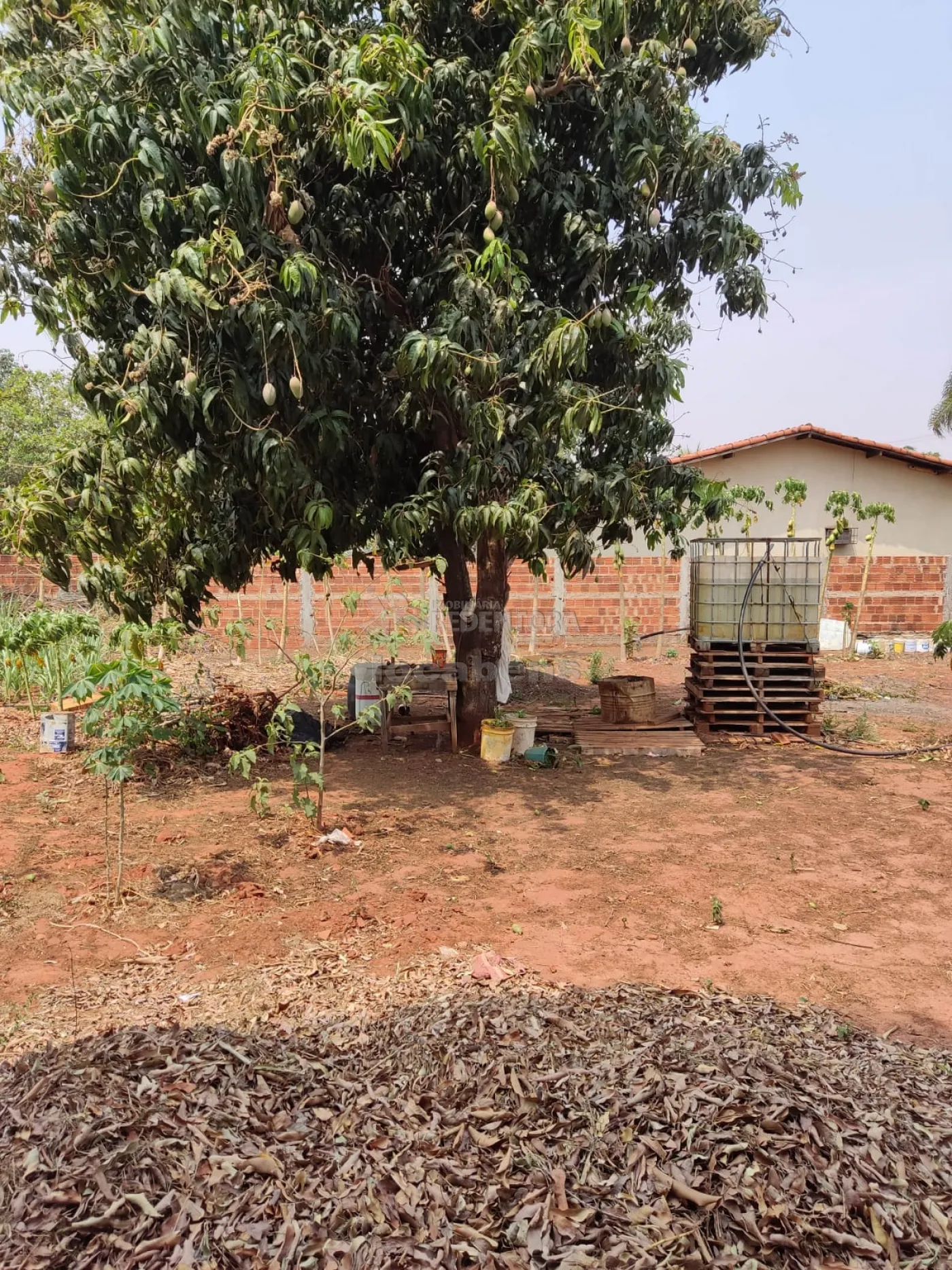 Chácara à venda, 1000m² - Foto 1