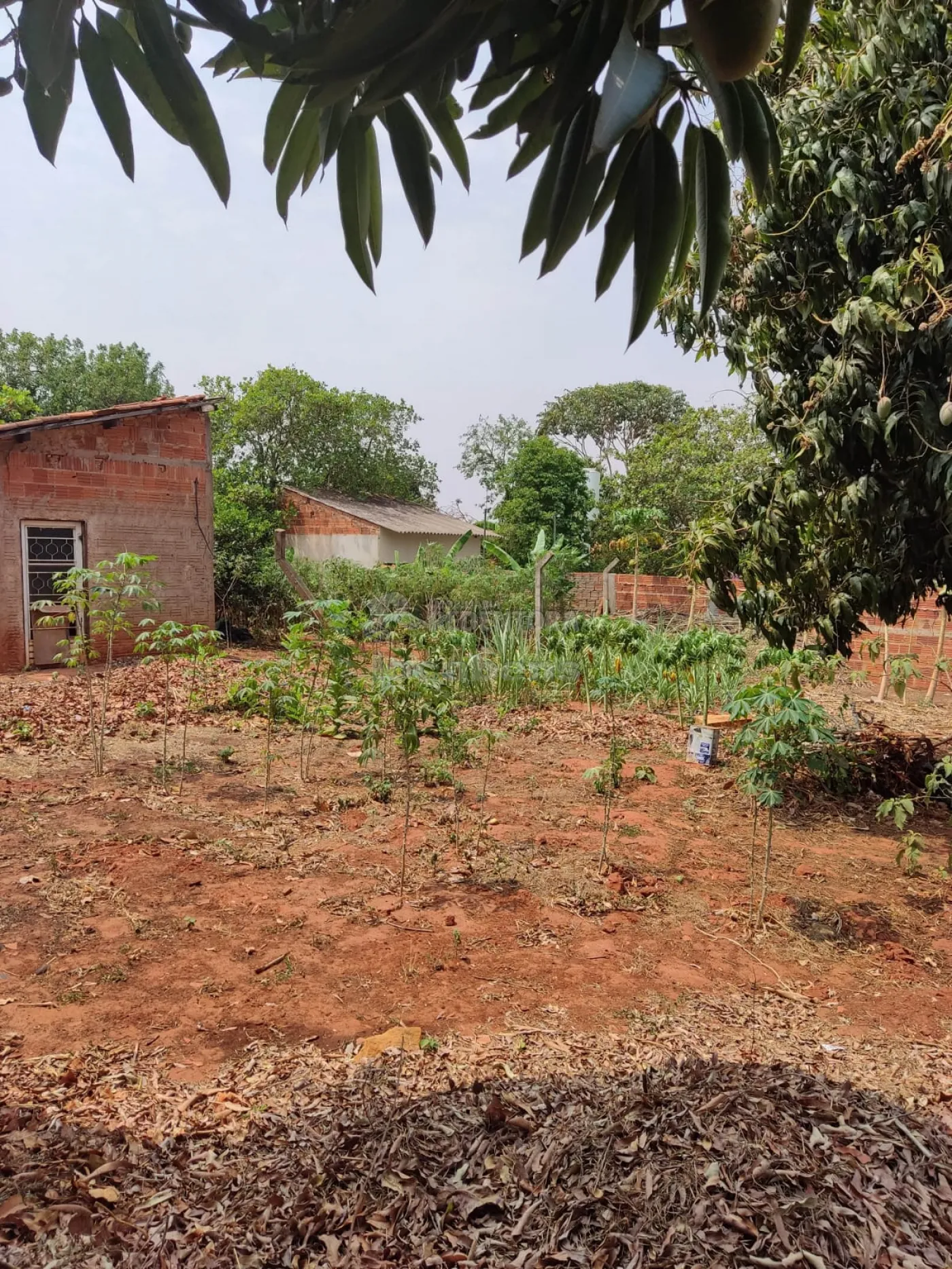 Chácara à venda, 1000m² - Foto 3