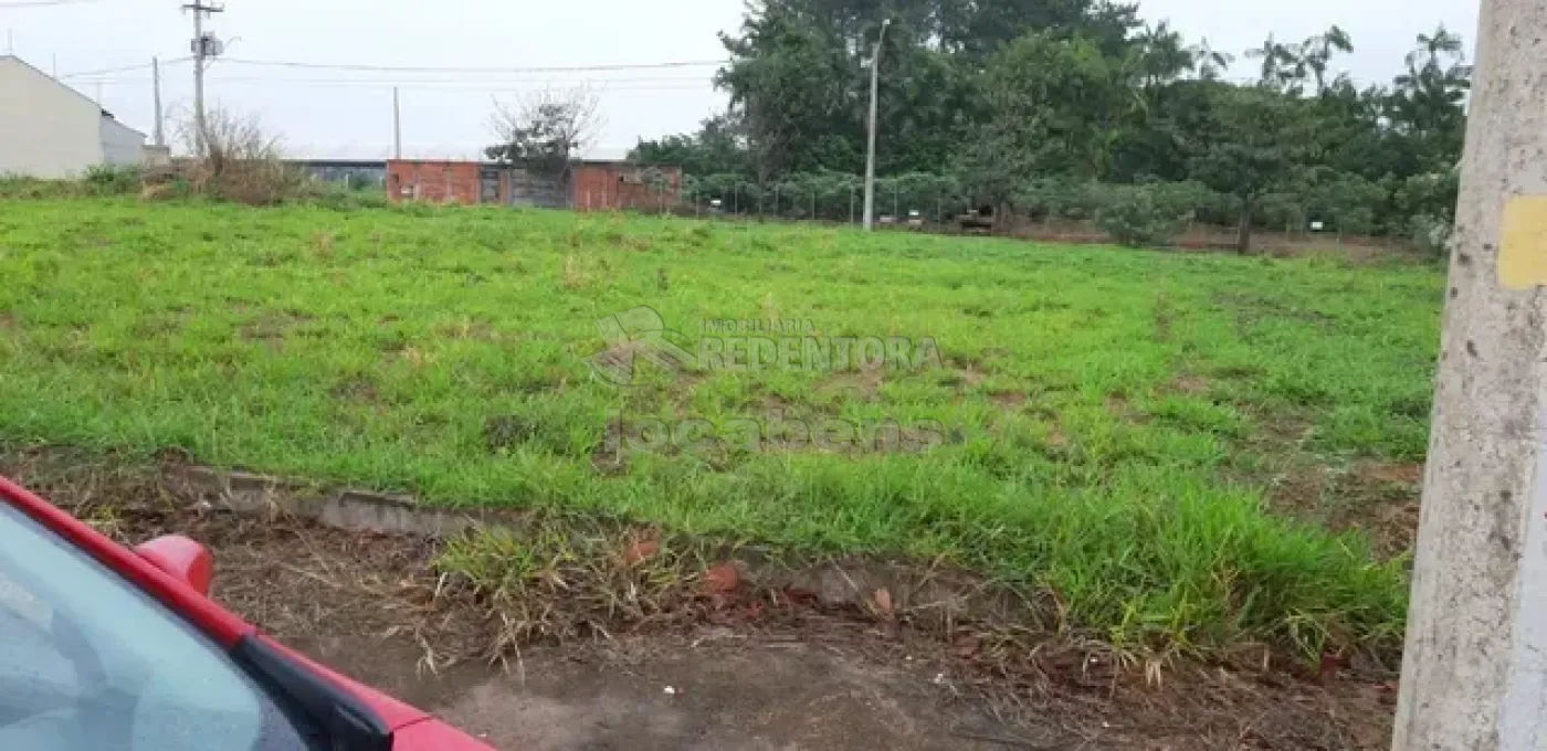 Comprar Terreno / Padrão em São José do Rio Preto R$ 110.000,00 - Foto 4