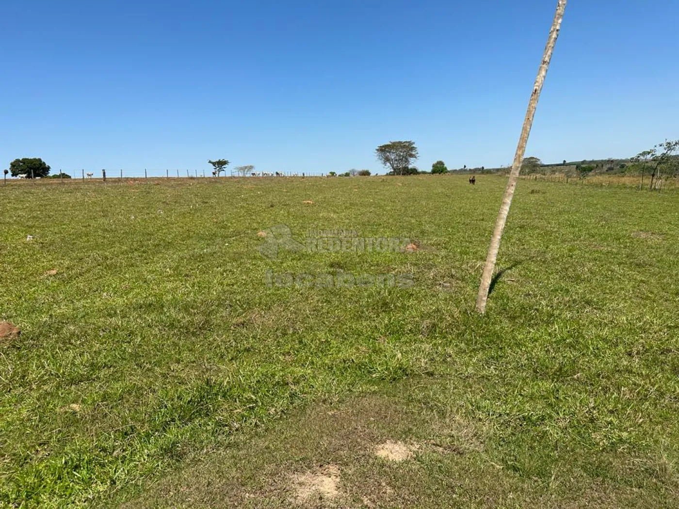 Comprar Rural / Sítio em Santa Fé do Sul R$ 750.000,00 - Foto 2