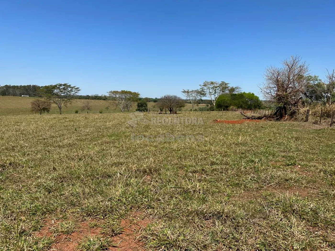 Comprar Rural / Sítio em Santa Fé do Sul R$ 750.000,00 - Foto 3