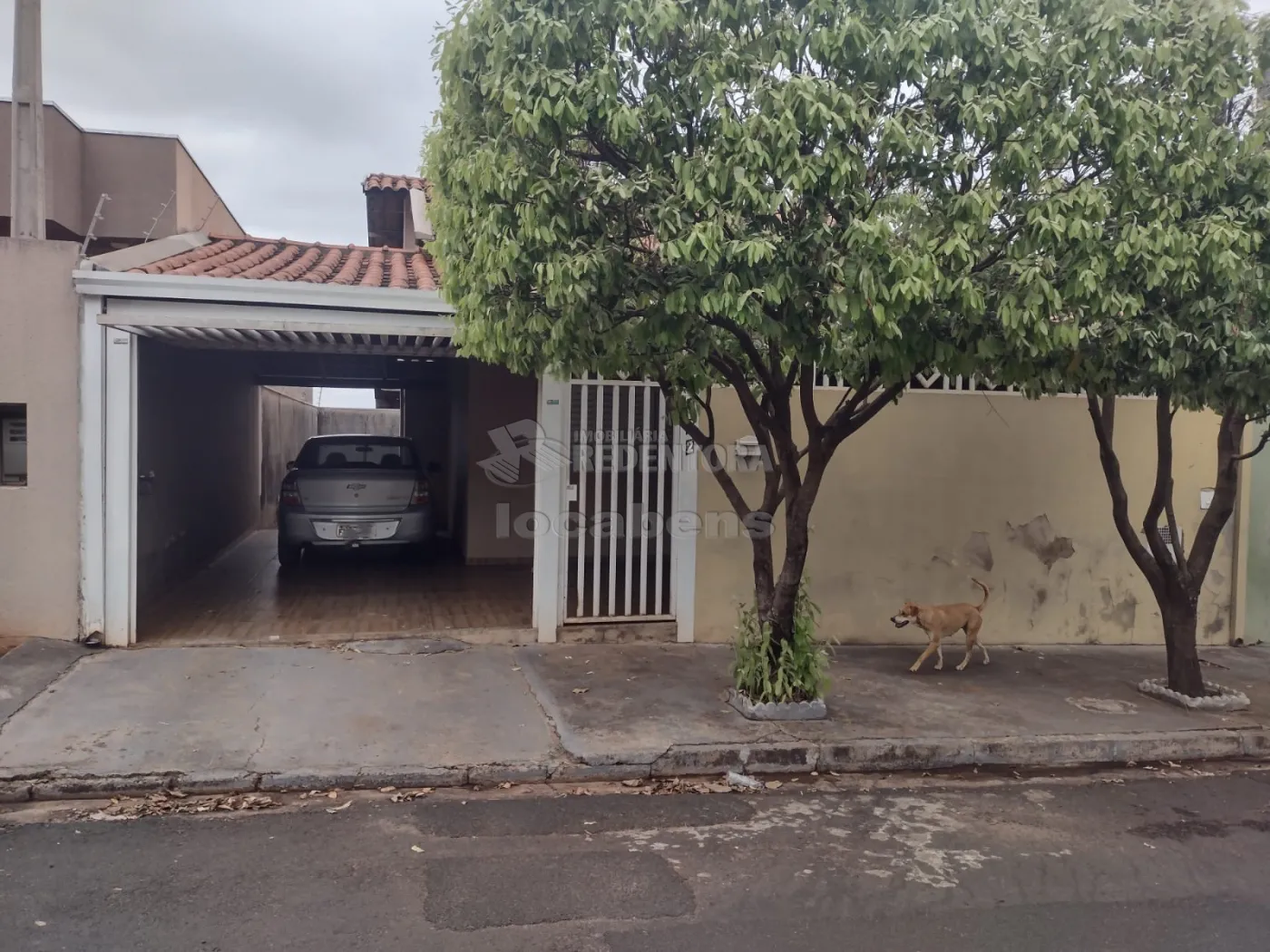 Comprar Casa / Padrão em São José do Rio Preto apenas R$ 380.000,00 - Foto 1