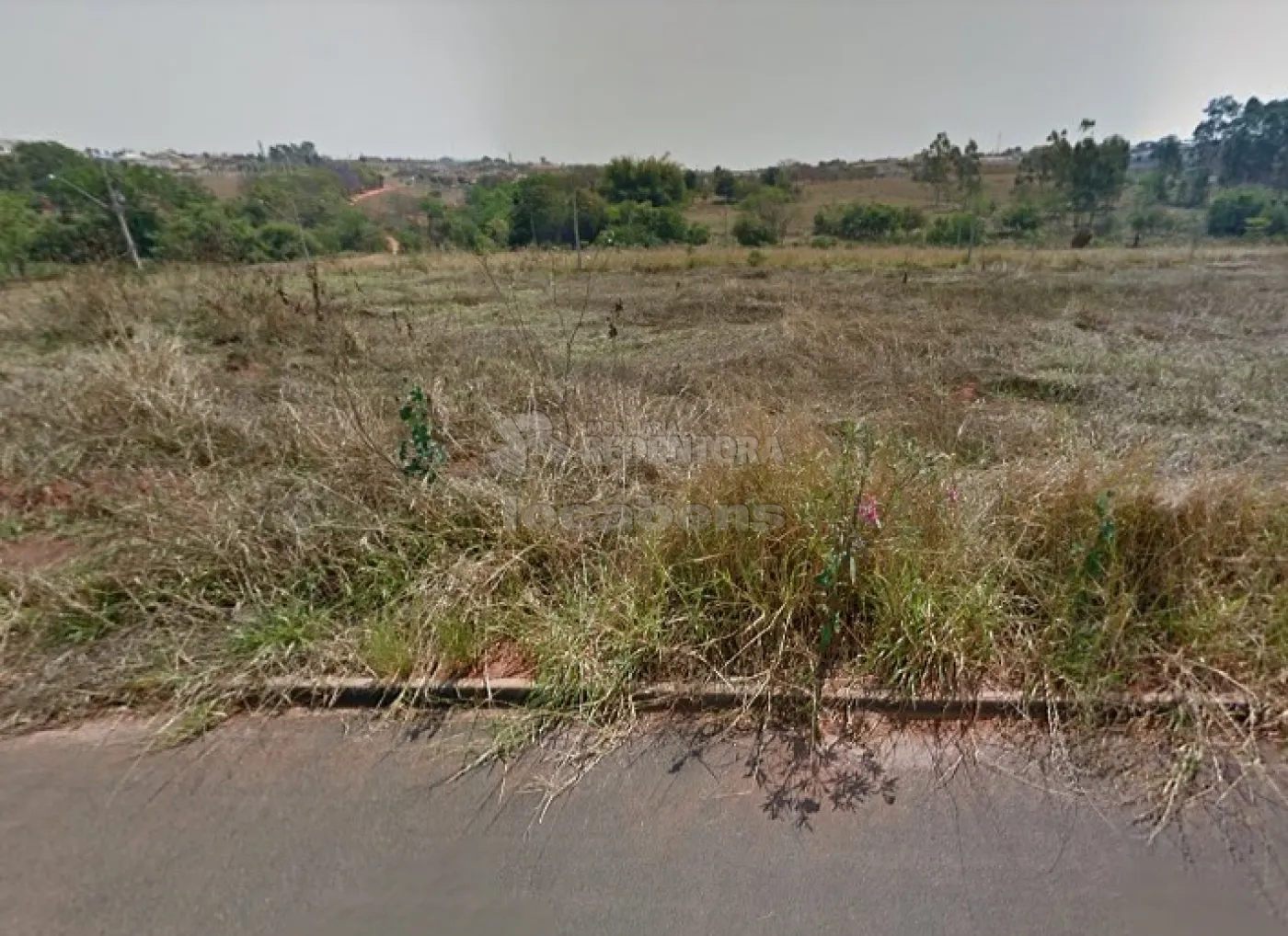 Comprar Terreno / Padrão em Bady Bassitt R$ 90.000,00 - Foto 1