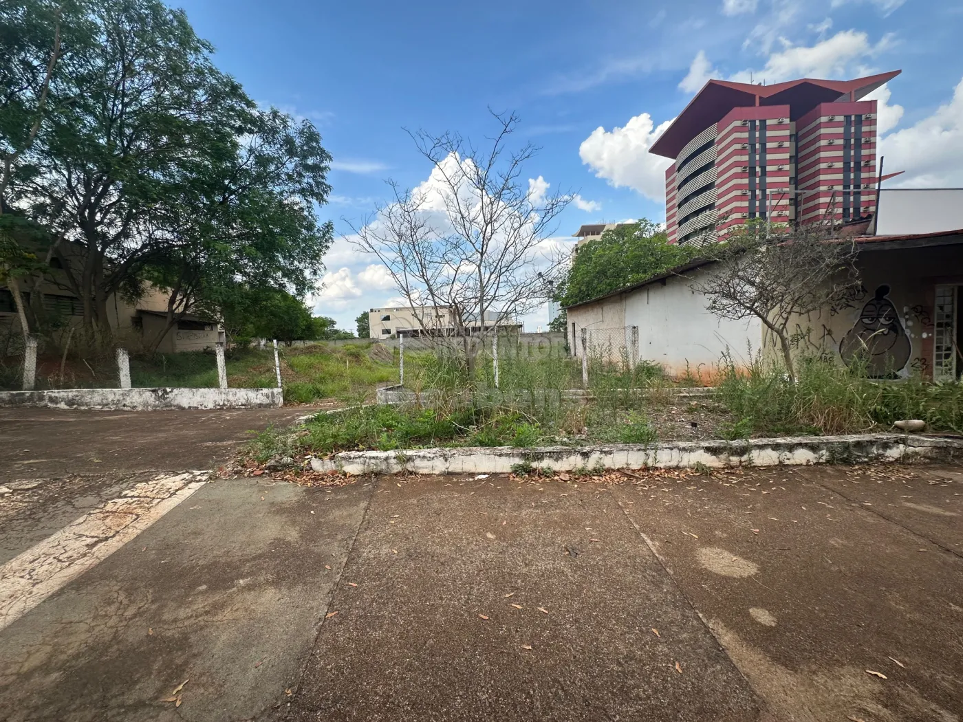 Comprar Terreno / Área em São José do Rio Preto - Foto 4