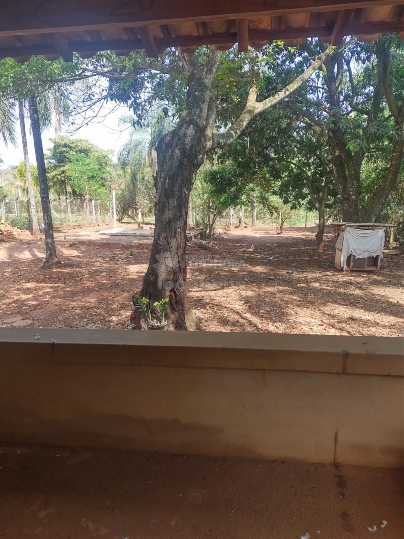 Comprar Rural / Chácara em São José do Rio Preto R$ 230.000,00 - Foto 1