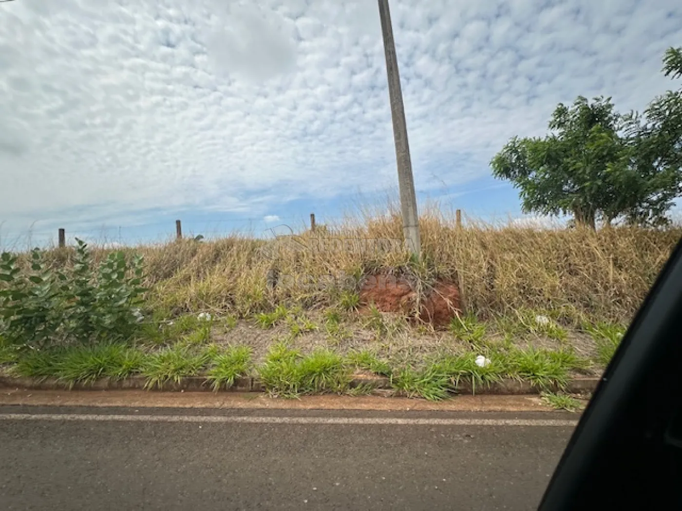 Comprar Terreno / Área em São José do Rio Preto - Foto 9