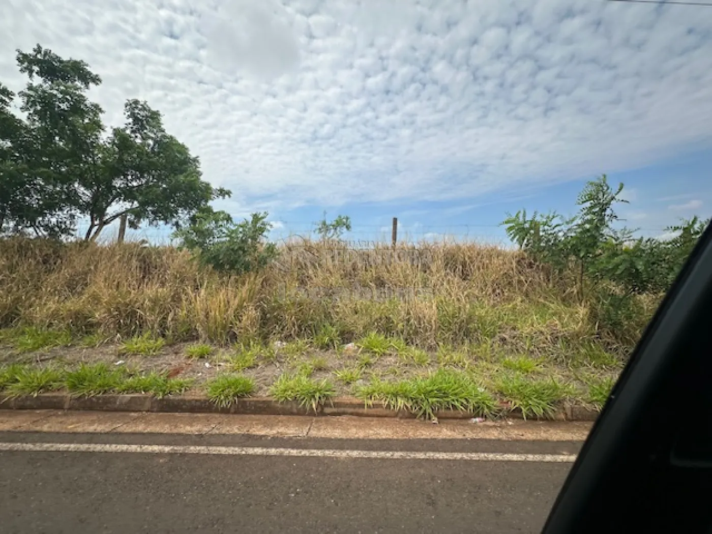 Comprar Terreno / Área em São José do Rio Preto - Foto 2