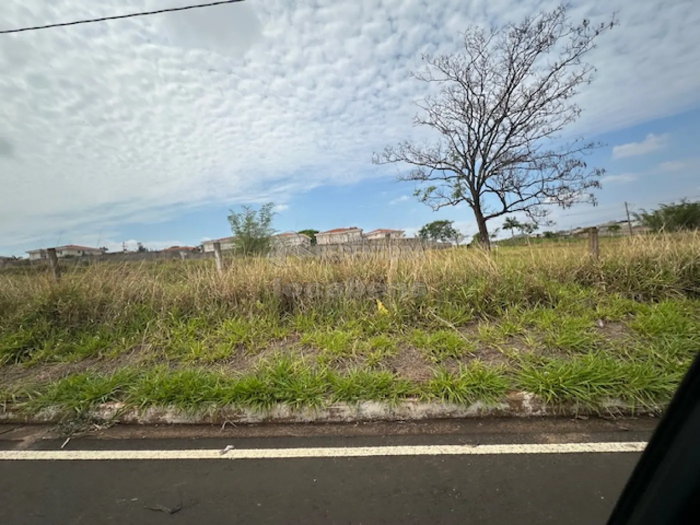 Comprar Terreno / Área em São José do Rio Preto - Foto 5