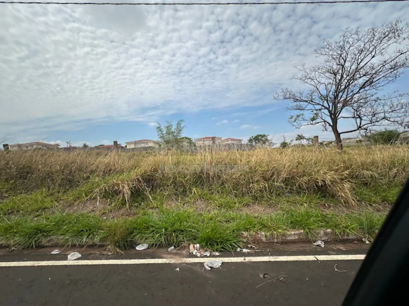 Comprar Terreno / Área em São José do Rio Preto - Foto 6