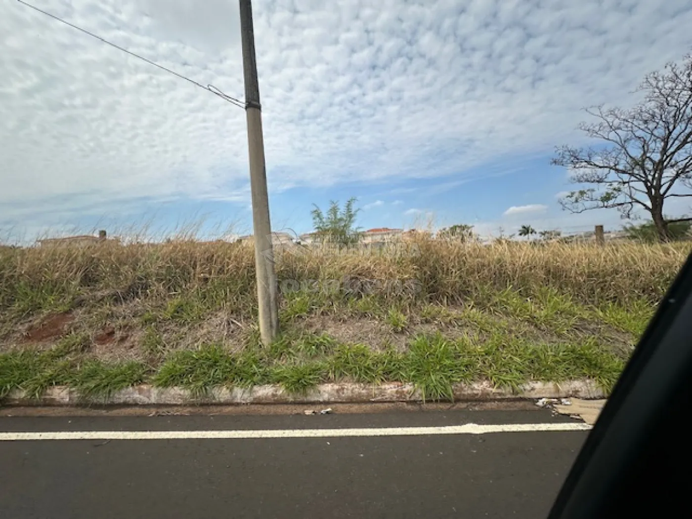 Comprar Terreno / Área em São José do Rio Preto - Foto 7