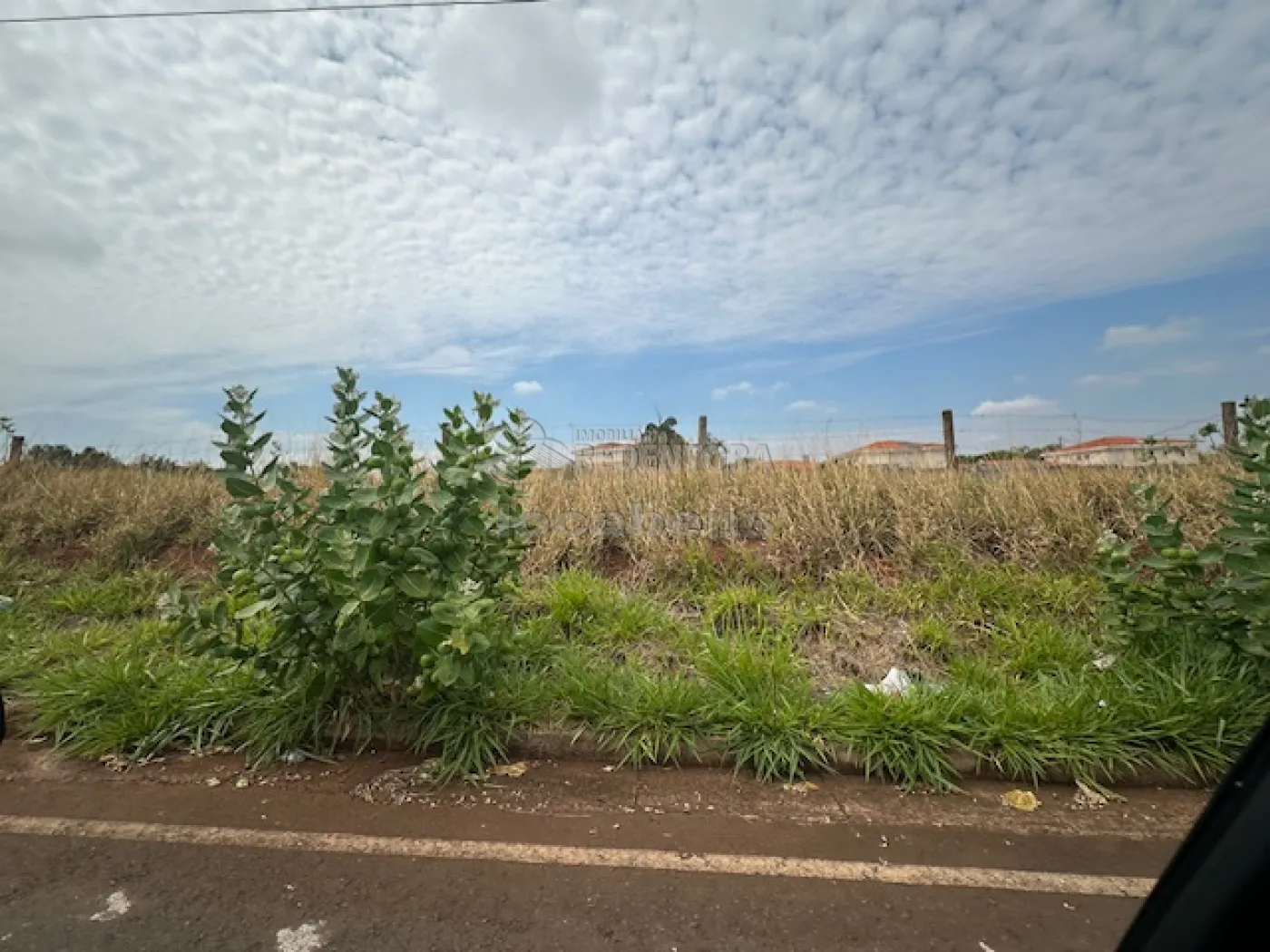 Comprar Terreno / Área em São José do Rio Preto - Foto 1