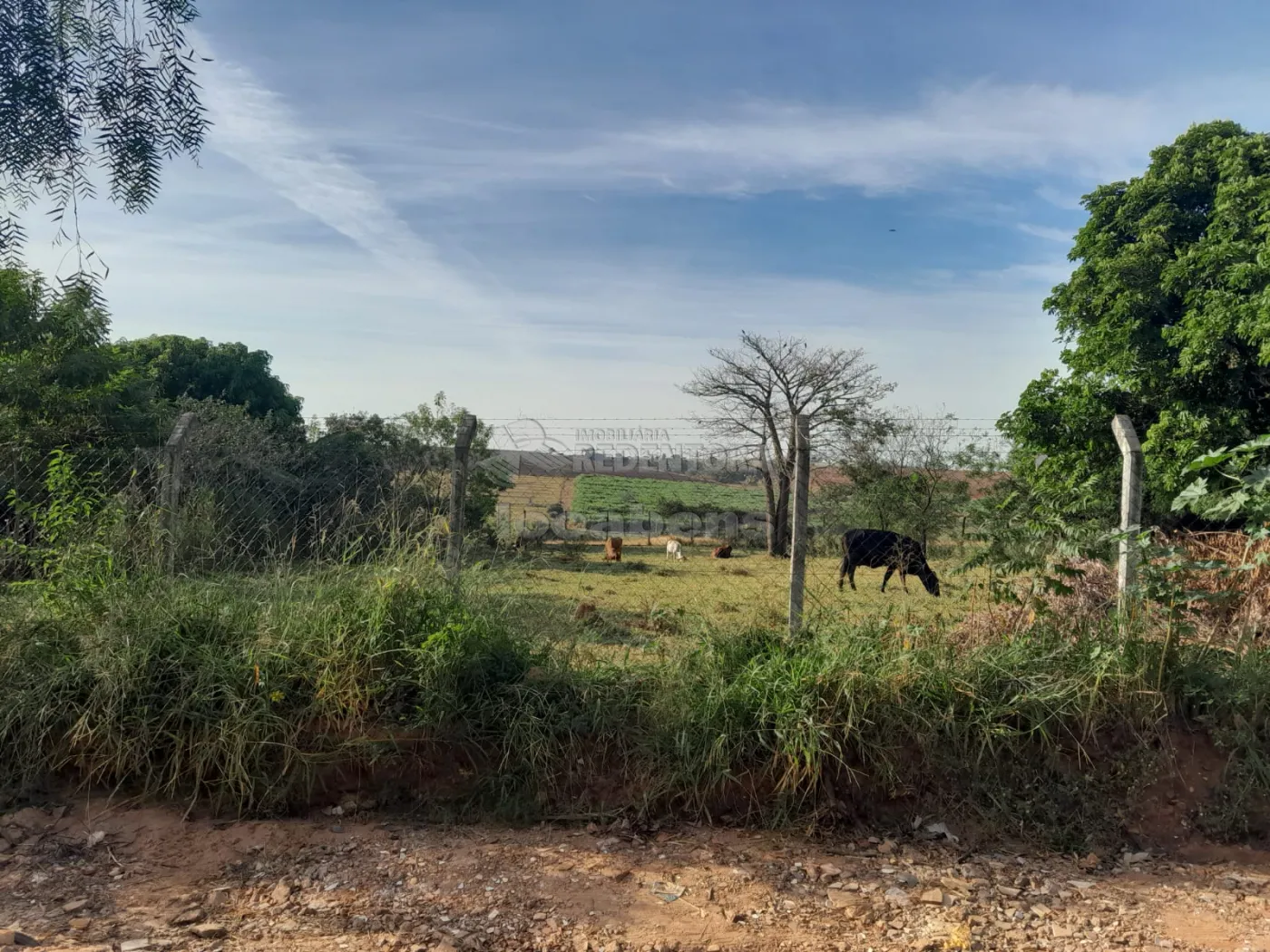 Comprar Rural / Chácara em São José do Rio Preto R$ 145.000,00 - Foto 1