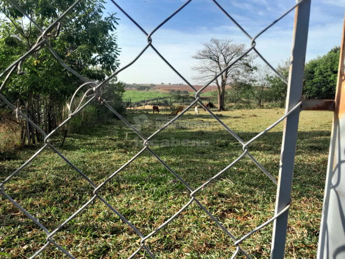 Comprar Rural / Chácara em São José do Rio Preto R$ 145.000,00 - Foto 7