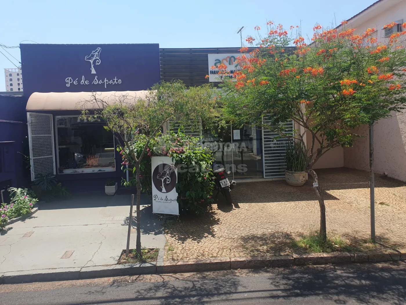 Alugar Comercial / Casa Comercial em São José do Rio Preto R$ 3.900,00 - Foto 3