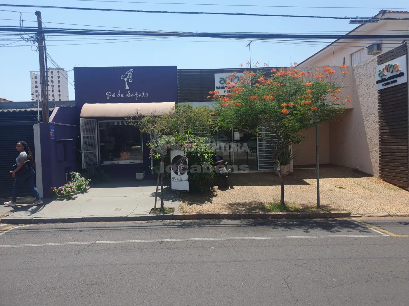 Alugar Comercial / Casa Comercial em São José do Rio Preto R$ 3.900,00 - Foto 1