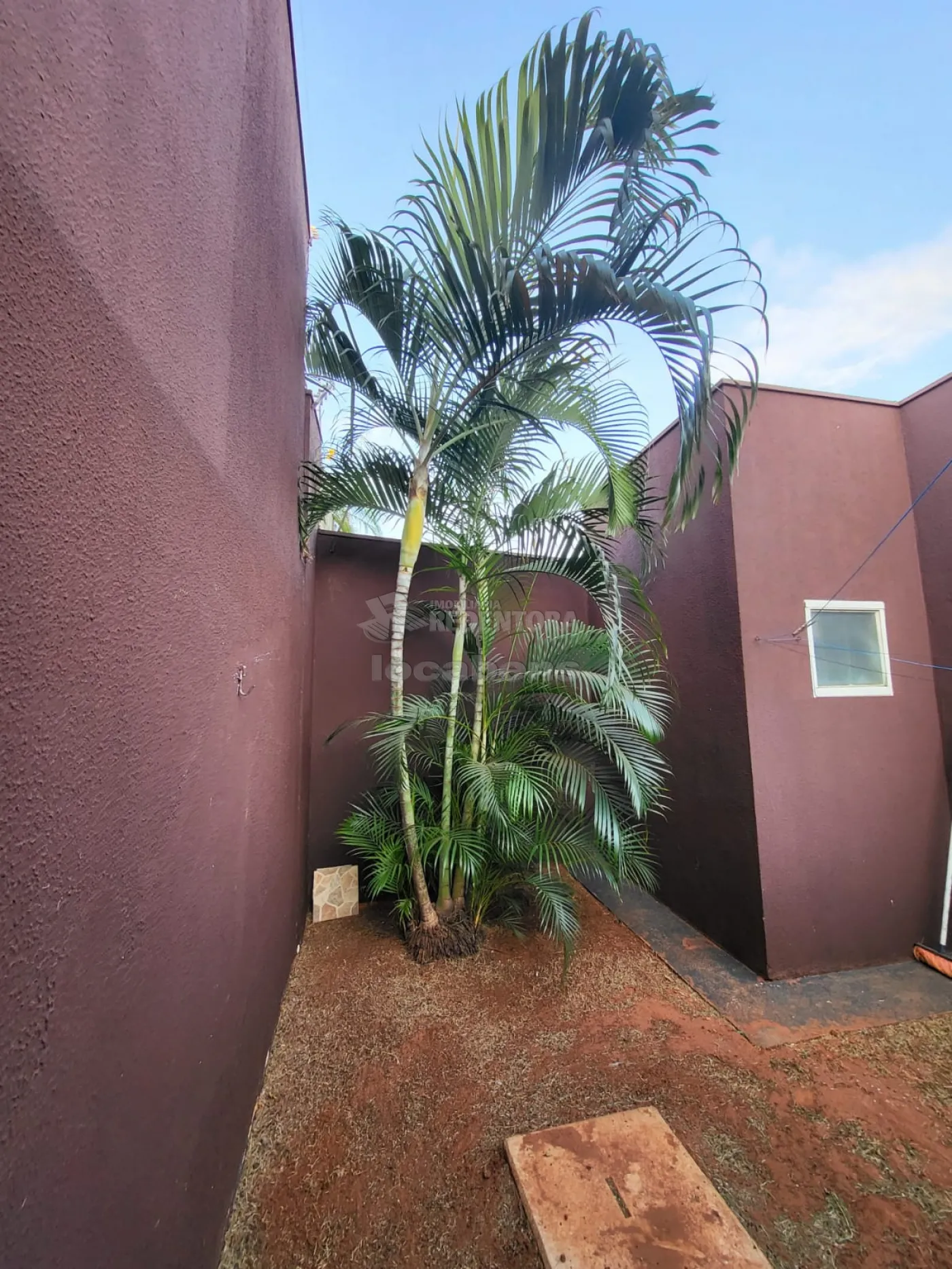 Comprar Casa / Padrão em São José do Rio Preto R$ 410.000,00 - Foto 14