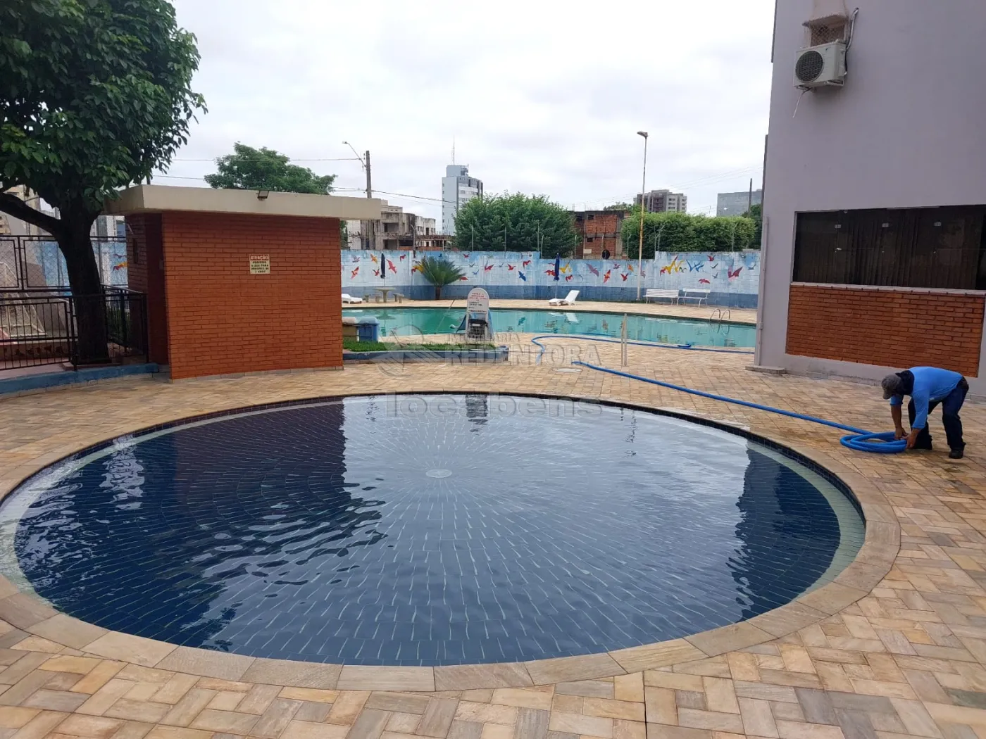 Comprar Apartamento / Padrão em São José do Rio Preto R$ 280.000,00 - Foto 8