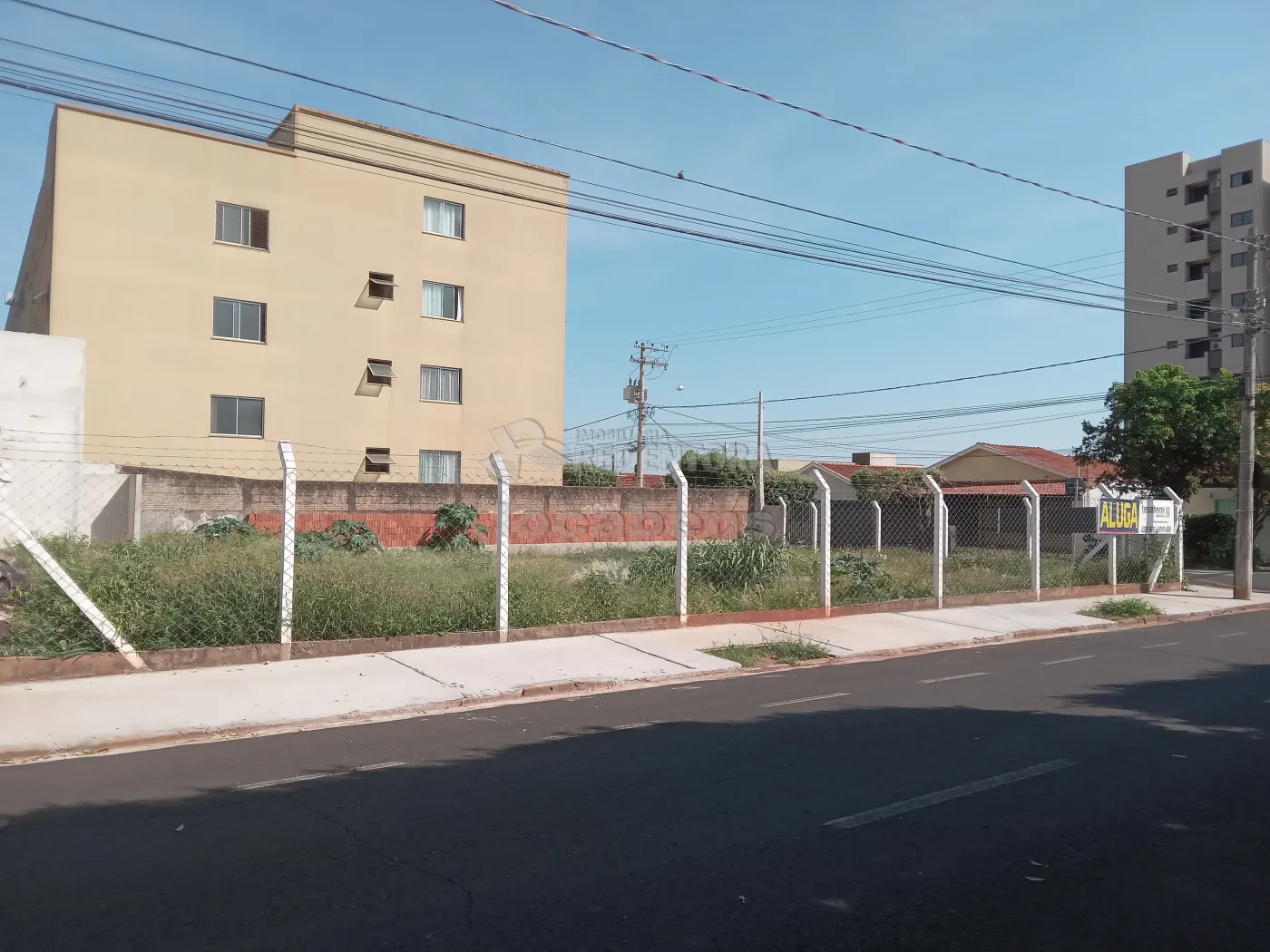 Alugar Terreno / Padrão em São José do Rio Preto R$ 2.500,00 - Foto 3
