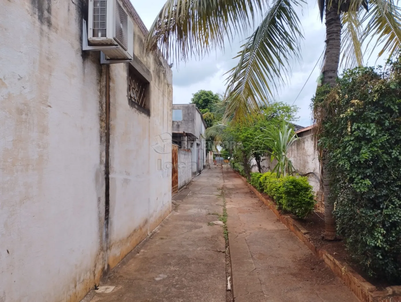 Comprar Terreno / Padrão em São José do Rio Preto apenas R$ 800.000,00 - Foto 3