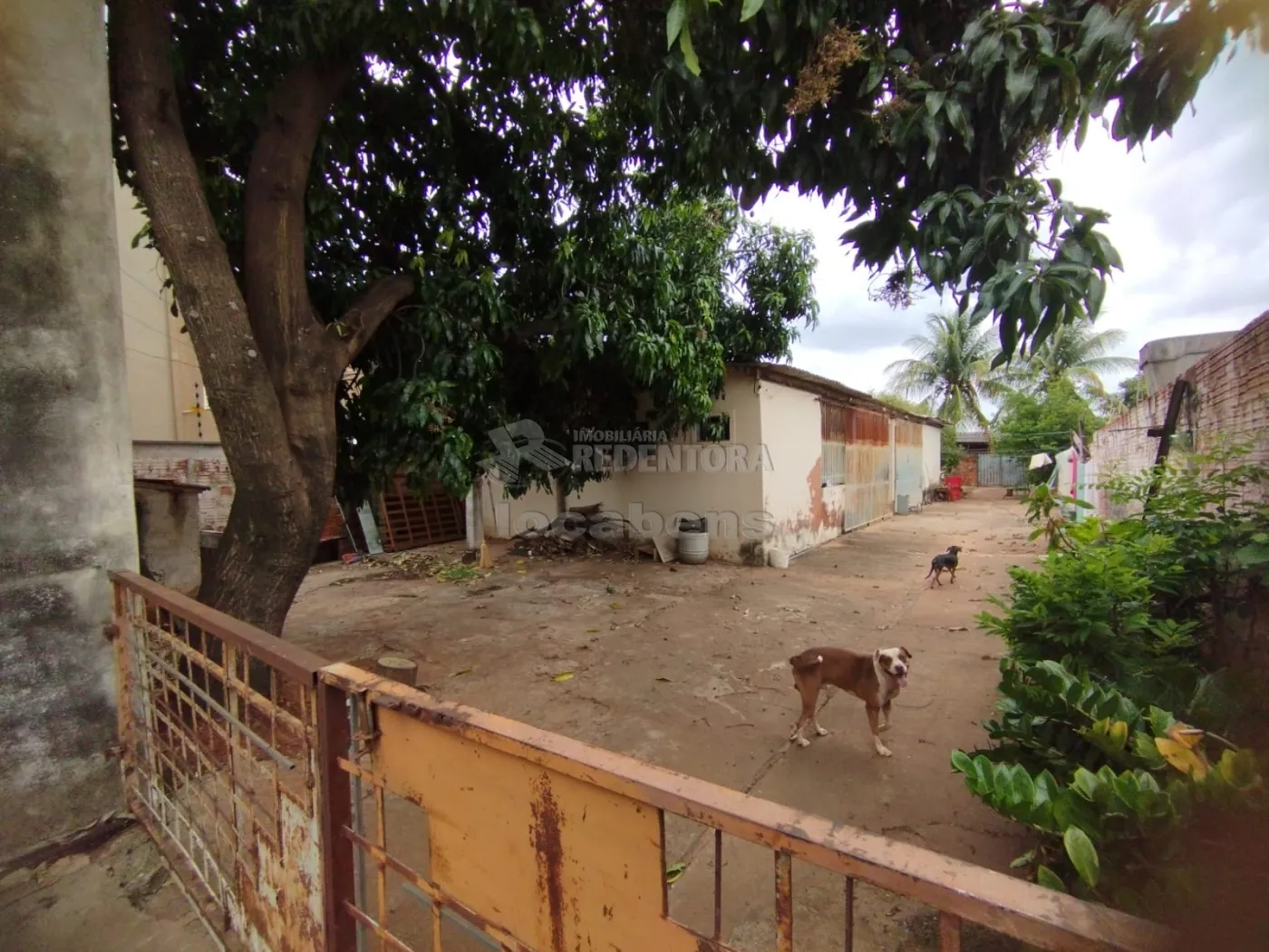 Comprar Terreno / Padrão em São José do Rio Preto R$ 800.000,00 - Foto 11