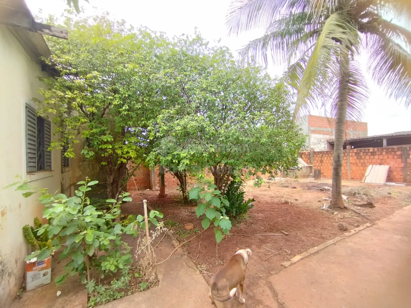 Comprar Terreno / Padrão em São José do Rio Preto apenas R$ 800.000,00 - Foto 27