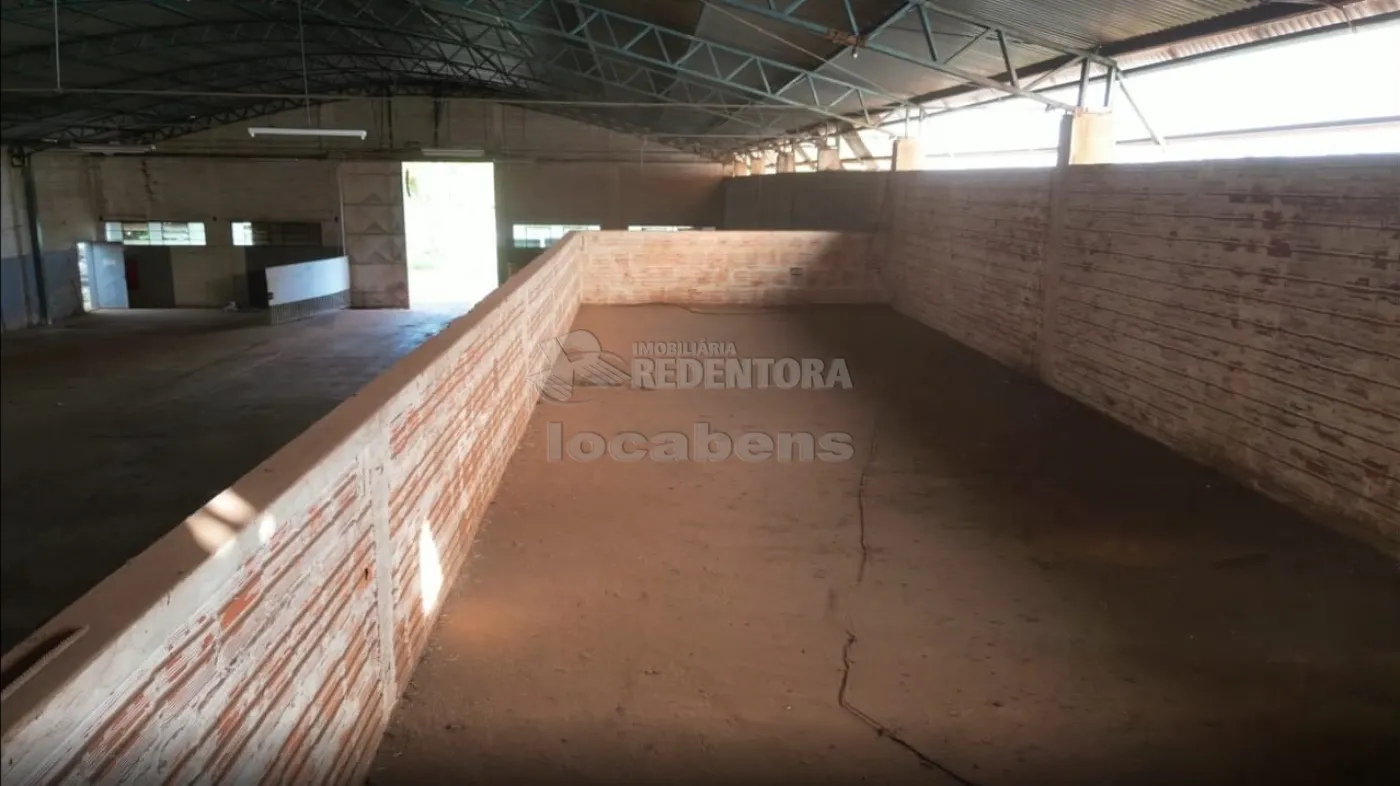 Comprar Comercial / Salão em São José do Rio Preto apenas R$ 2.320.000,00 - Foto 4