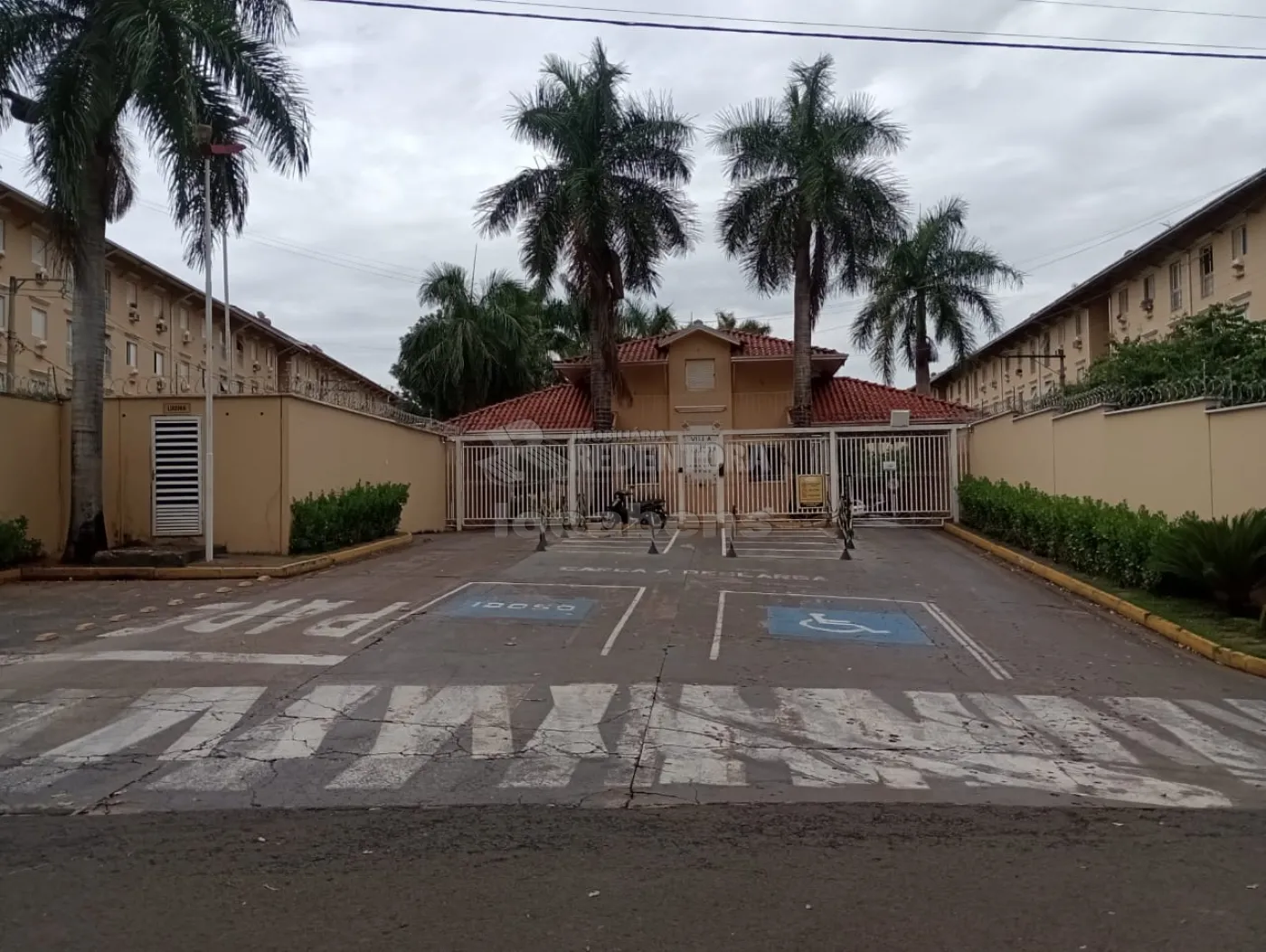 Alugar Apartamento / Padrão em São José do Rio Preto apenas R$ 800,00 - Foto 1