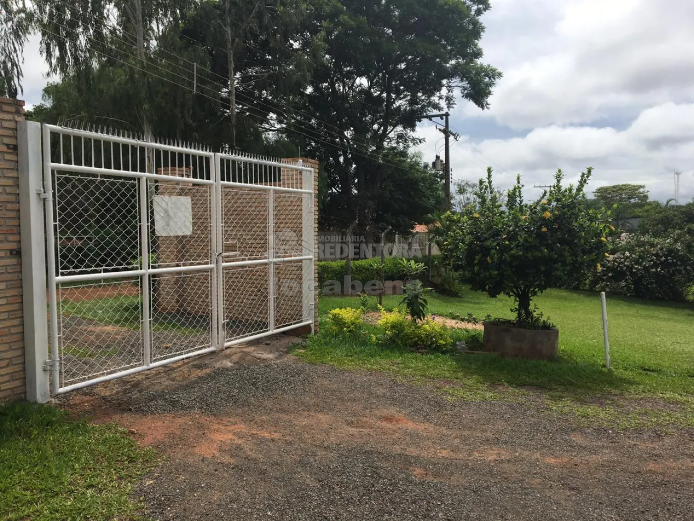 Comprar Rural / Chácara em Ipiguá R$ 500.000,00 - Foto 1