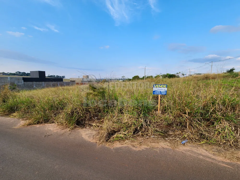 Comprar Terreno / Padrão em São José do Rio Preto R$ 85.000,00 - Foto 1