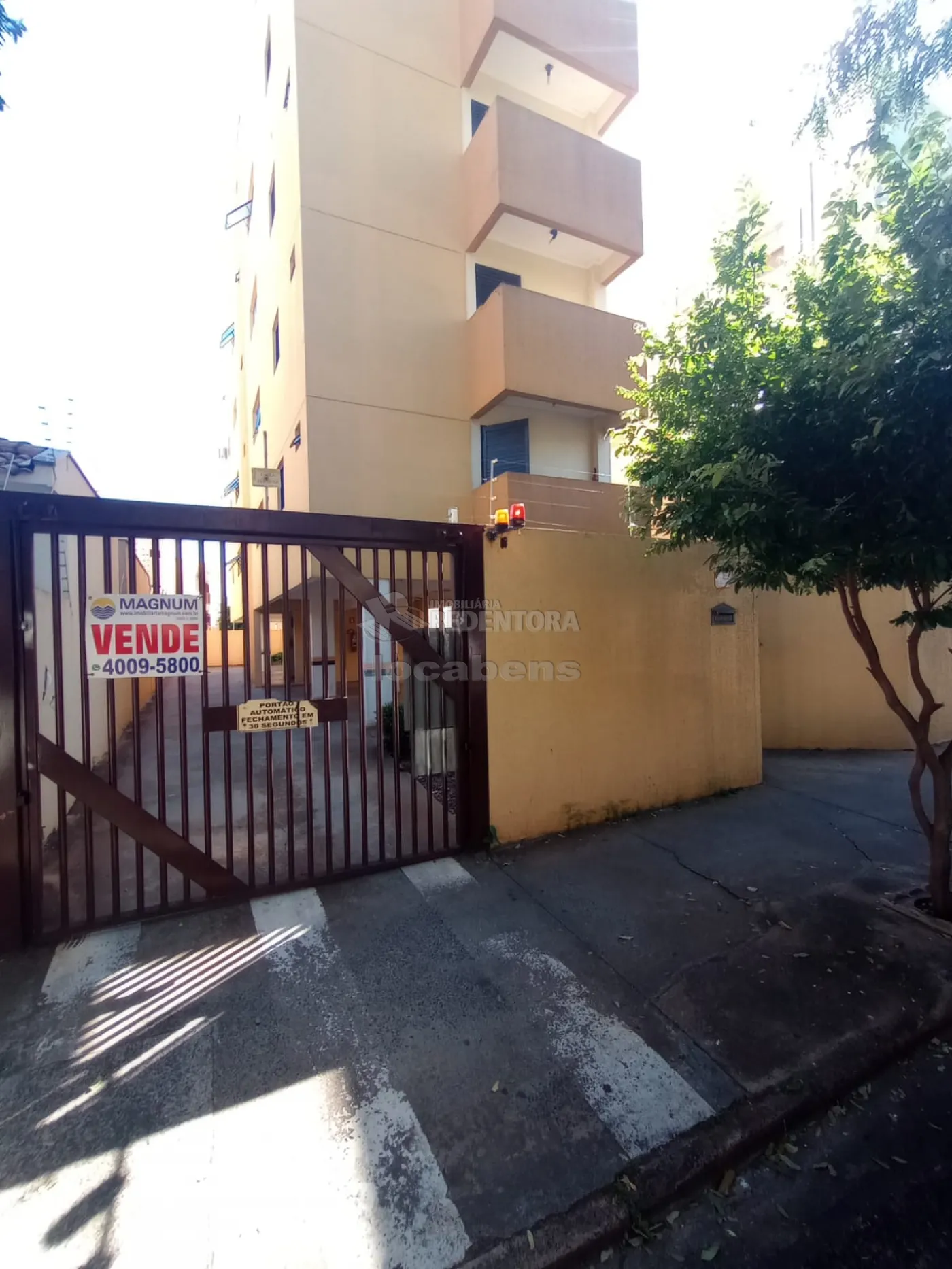 Alugar Apartamento / Padrão em São José do Rio Preto R$ 800,00 - Foto 1