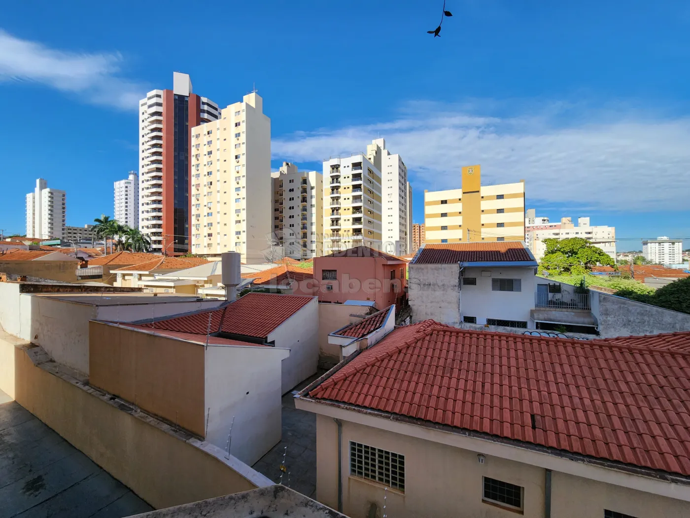 Alugar Apartamento / Padrão em São José do Rio Preto R$ 1.000,00 - Foto 3