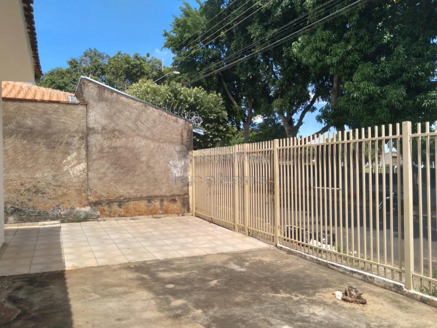 Alugar Casa / Padrão em São José do Rio Preto R$ 800,00 - Foto 3