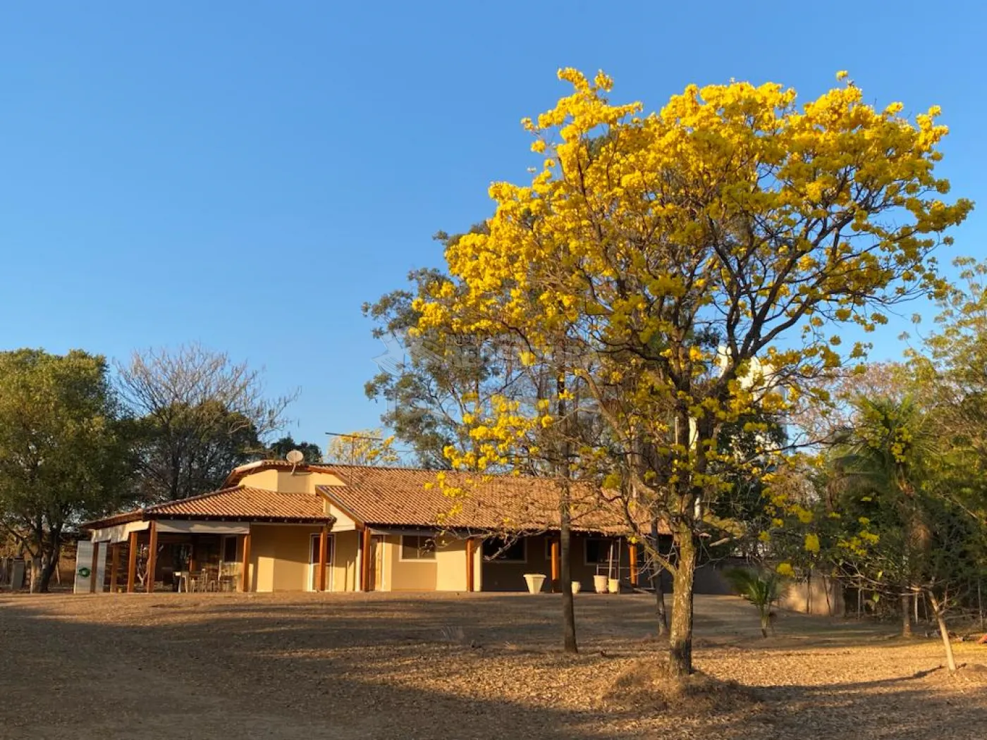 Comprar Casa / Condomínio em Mirassol apenas R$ 1.650.000,00 - Foto 1