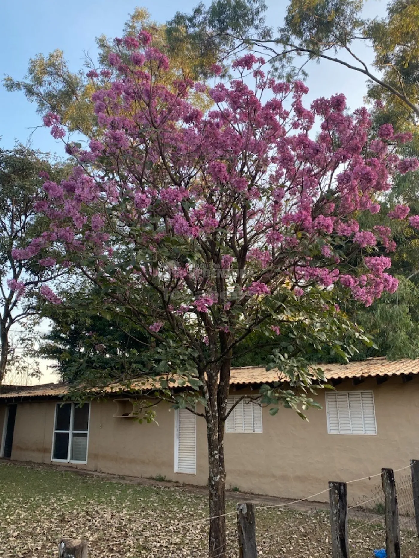 Comprar Casa / Condomínio em Mirassol R$ 1.650.000,00 - Foto 8