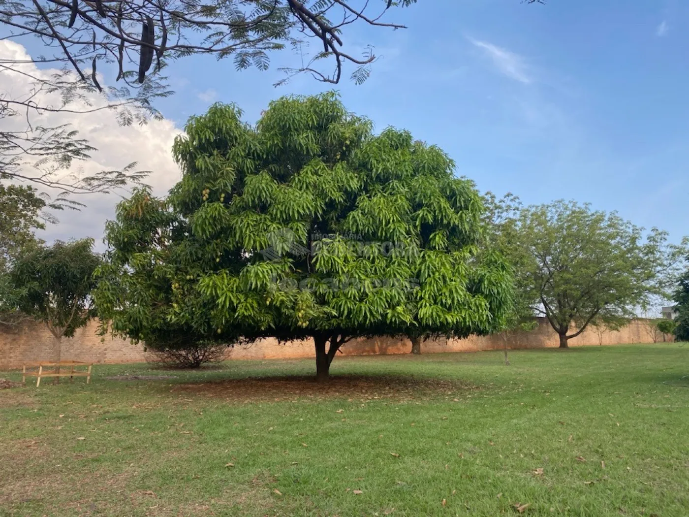 Comprar Casa / Condomínio em Mirassol apenas R$ 1.650.000,00 - Foto 10