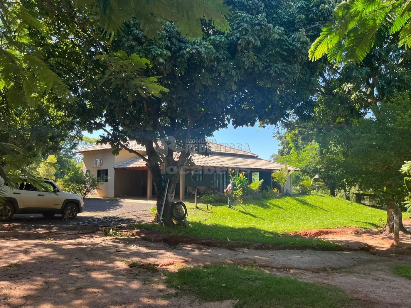 Comprar Rural / Sítio em Cedral R$ 6.500.000,00 - Foto 1