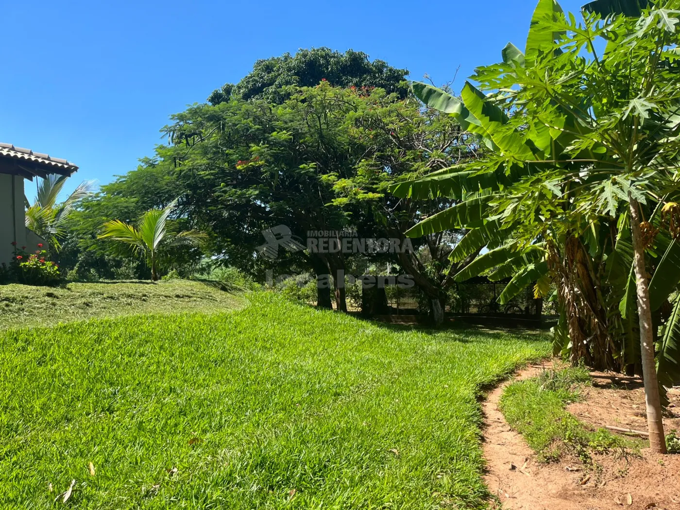 Comprar Rural / Sítio em Cedral R$ 6.500.000,00 - Foto 6