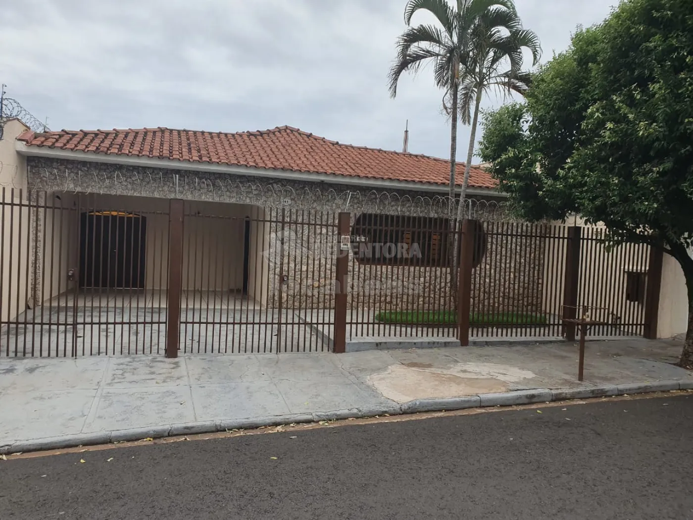 Comprar Casa / Padrão em São José do Rio Preto R$ 550.000,00 - Foto 1