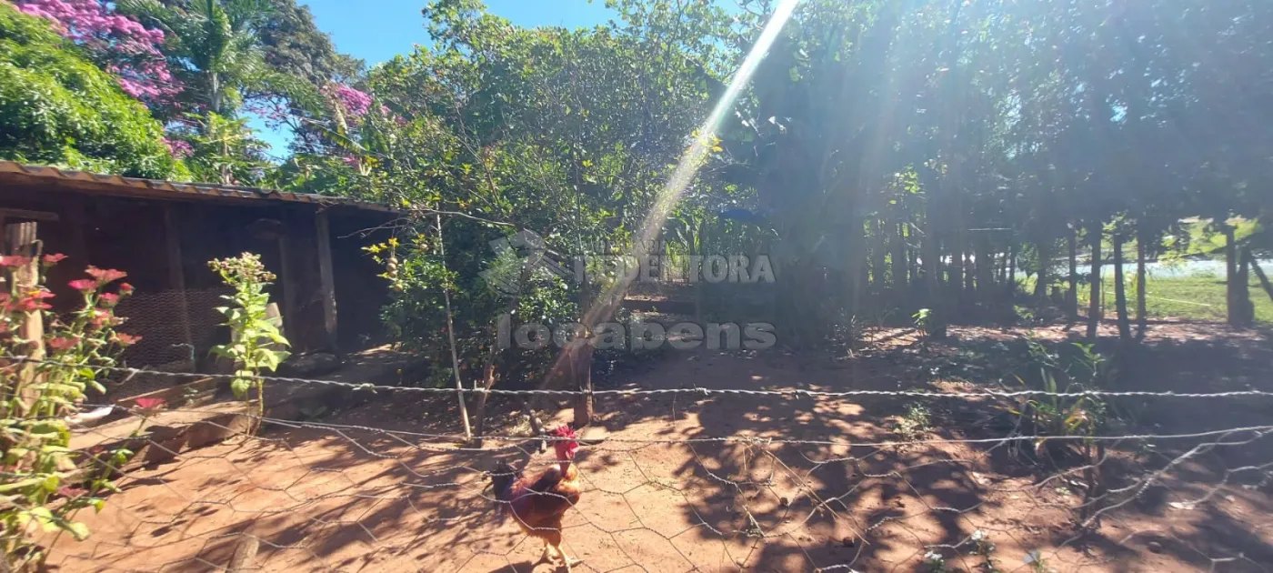 Comprar Rural / Chácara em São José do Rio Preto R$ 900.000,00 - Foto 28