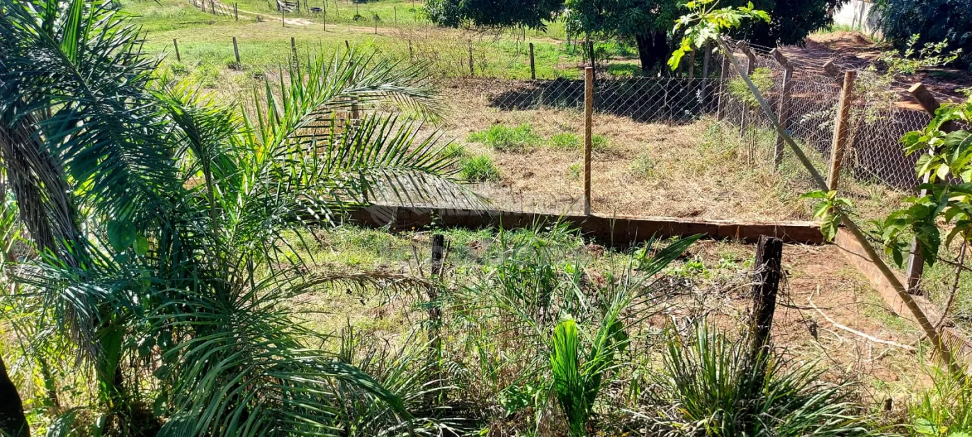 Comprar Rural / Chácara em São José do Rio Preto R$ 900.000,00 - Foto 35